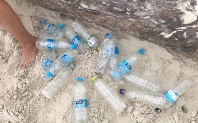 Des îles, de la pollution et le chemin vers la « déplastification »